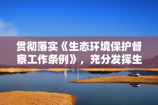 贯彻落实《生态环境保护督察工作条例》，充分发挥生态环境保护督察利剑作用