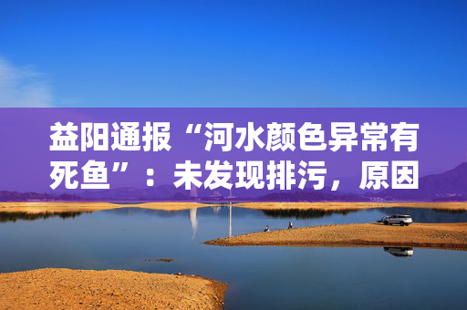益阳通报“河水颜色异常有死鱼”：未发现排污，原因待鉴定