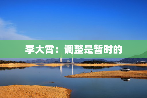 李大霄：调整是暂时的