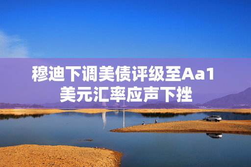 穆迪下调美债评级至Aa1 美元汇率应声下挫