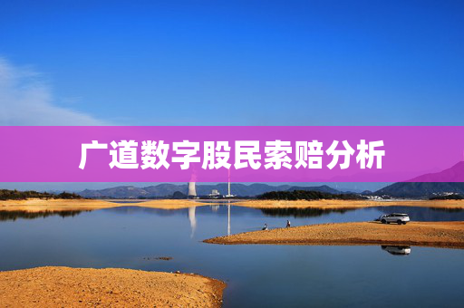 广道数字股民索赔分析