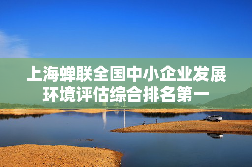 上海蝉联全国中小企业发展环境评估综合排名第一