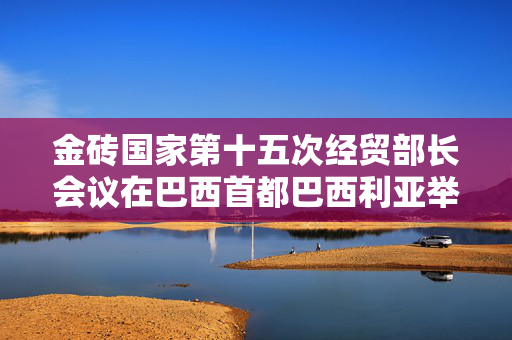 金砖国家第十五次经贸部长会议在巴西首都巴西利亚举行