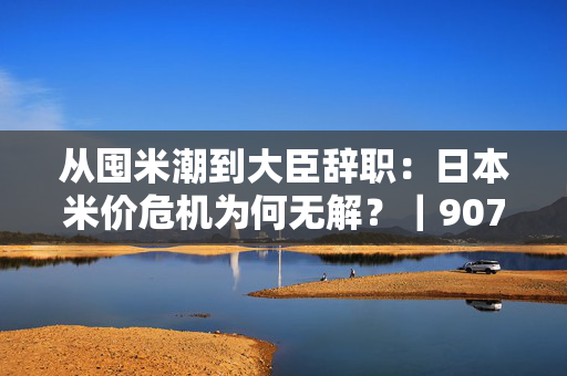 从囤米潮到大臣辞职：日本米价危机为何无解？｜907编辑部