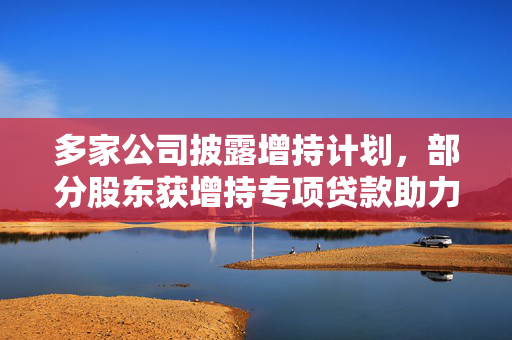 多家公司披露增持计划，部分股东获增持专项贷款助力