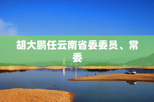胡大鹏任云南省委委员、常委