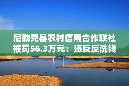尼勒克县农村信用合作联社被罚56.3万元：违反反洗钱管理规定