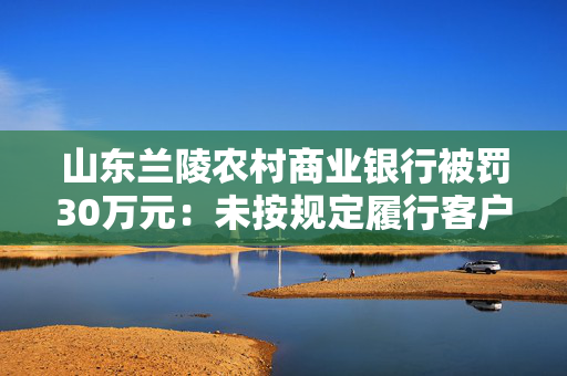 山东兰陵农村商业银行被罚30万元：未按规定履行客户身份识别义务