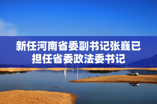 新任河南省委副书记张巍已担任省委政法委书记