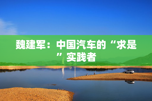 魏建军：中国汽车的“求是”实践者