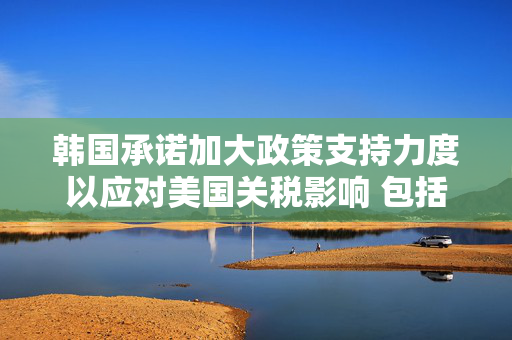 韩国承诺加大政策支持力度以应对美国关税影响 包括对制药业进行扶持