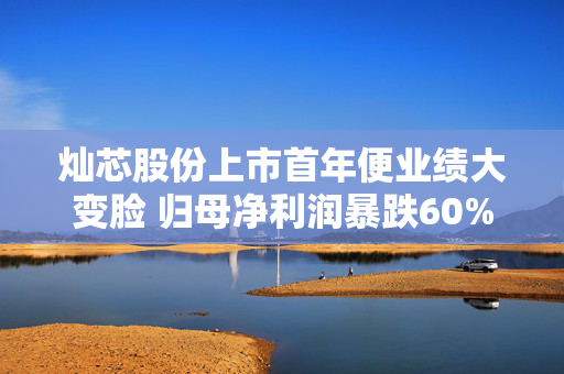 灿芯股份上市首年便业绩大变脸 归母净利润暴跌60% 持续投入高潜领域何时能变现？
