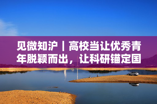 见微知沪｜高校当让优秀青年脱颖而出，让科研锚定国家需求