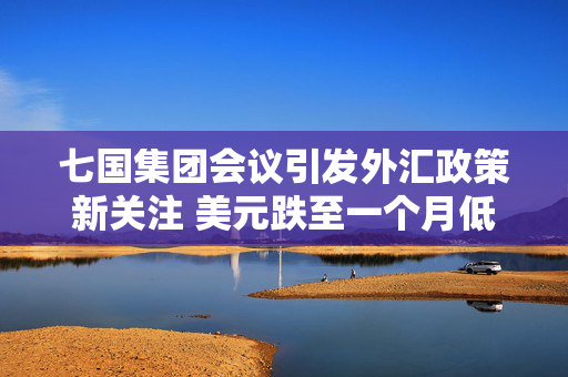 七国集团会议引发外汇政策新关注 美元跌至一个月低点