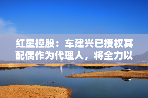 红星控股：车建兴已授权其配偶作为代理人，将全力以赴配合推进重整程序
