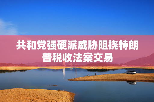 共和党强硬派威胁阻挠特朗普税收法案交易