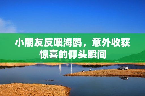 小朋友反喂海鸥，意外收获惊喜的仰头瞬间