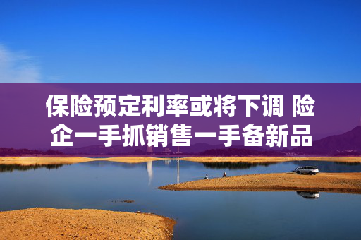 保险预定利率或将下调 险企一手抓销售一手备新品