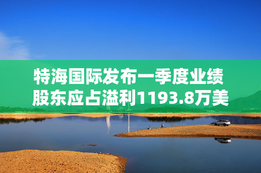 特海国际发布一季度业绩 股东应占溢利1193.8万美元同比扭亏为盈
