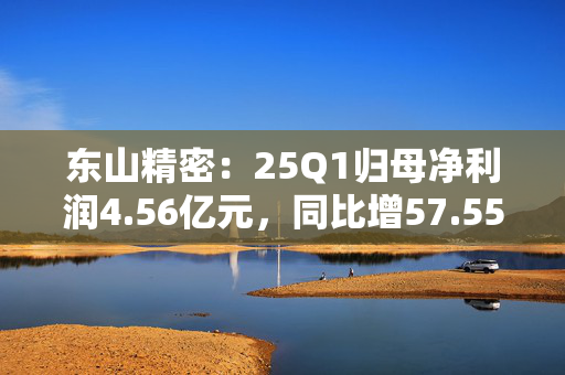 东山精密：25Q1归母净利润4.56亿元，同比增57.55%