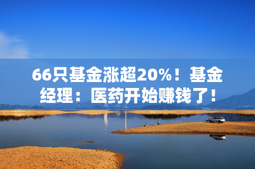 66只基金涨超20%！基金经理：医药开始赚钱了！