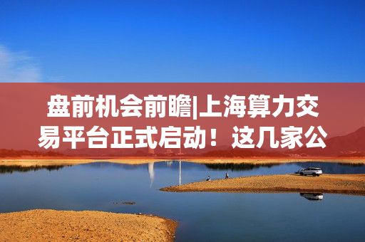盘前机会前瞻|上海算力交易平台正式启动！这几家公司在AI算力和智算建设领域具有领先优势（附概念股）