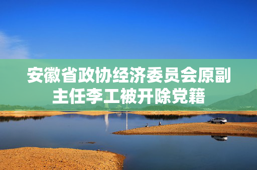 安徽省政协经济委员会原副主任李工被开除党籍