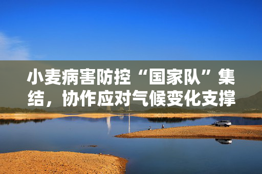 小麦病害防控“国家队”集结，协作应对气候变化支撑稳产增产