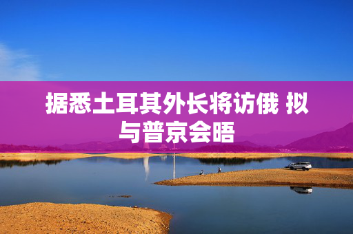 据悉土耳其外长将访俄 拟与普京会晤
