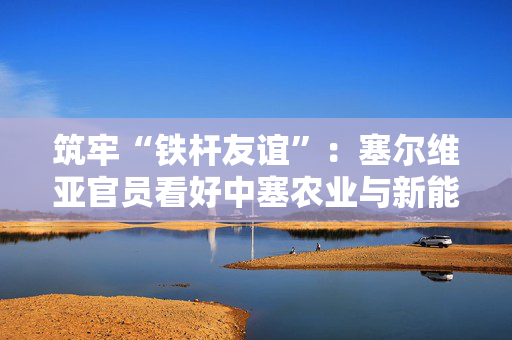 筑牢“铁杆友谊”：塞尔维亚官员看好中塞农业与新能源合作丨世界观