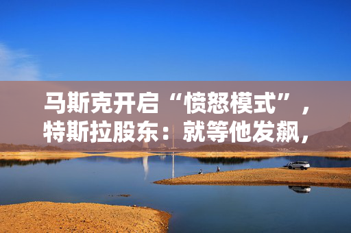 马斯克开启“愤怒模式”，特斯拉股东：就等他发飙，用成绩说话
