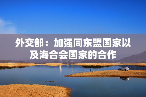 外交部：加强同东盟国家以及海合会国家的合作