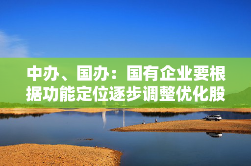 中办、国办：国有企业要根据功能定位逐步调整优化股权结构