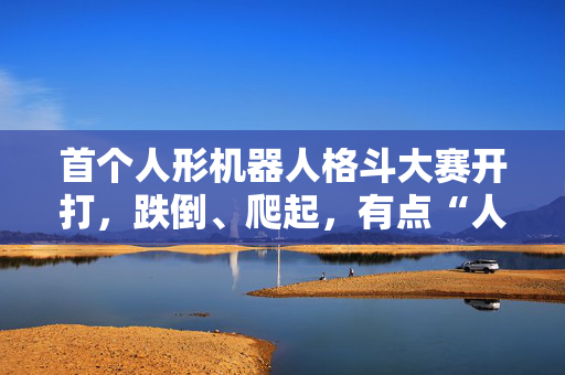 首个人形机器人格斗大赛开打，跌倒、爬起，有点“人样”