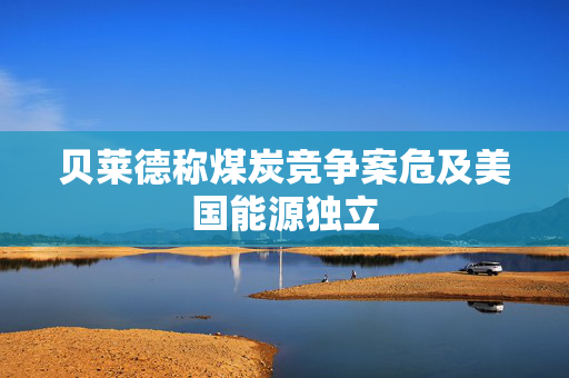贝莱德称煤炭竞争案危及美国能源独立