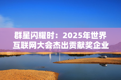 群星闪耀时：2025年世界互联网大会杰出贡献奖企业方向申报正式开启