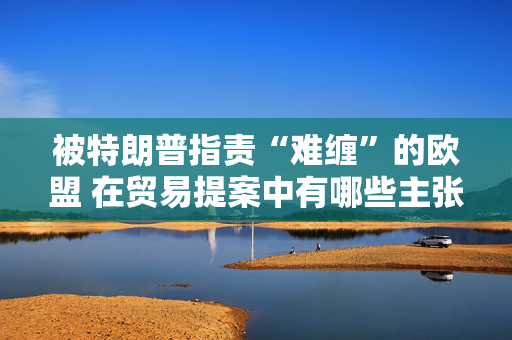 被特朗普指责“难缠”的欧盟 在贸易提案中有哪些主张？