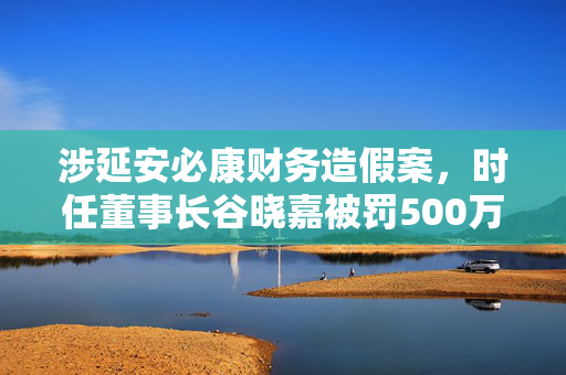涉延安必康财务造假案，时任董事长谷晓嘉被罚500万元、十年市场禁入