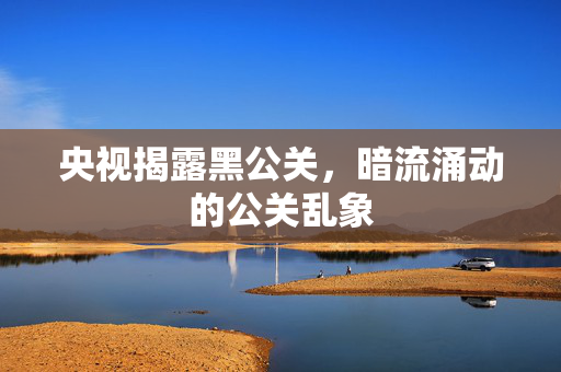 央视揭露黑公关，暗流涌动的公关乱象