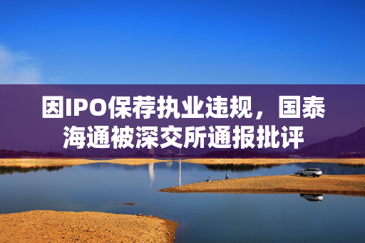因IPO保荐执业违规，国泰海通被深交所通报批评