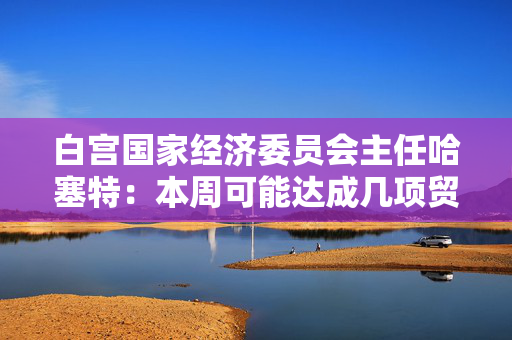 白宫国家经济委员会主任哈塞特：本周可能达成几项贸易协议
