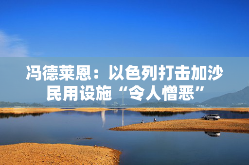 冯德莱恩：以色列打击加沙民用设施“令人憎恶”