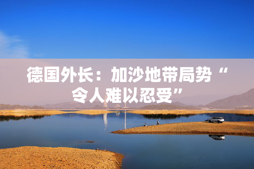 德国外长：加沙地带局势“令人难以忍受”