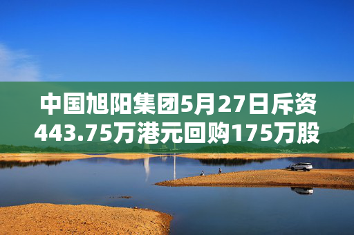 中国旭阳集团5月27日斥资443.75万港元回购175万股