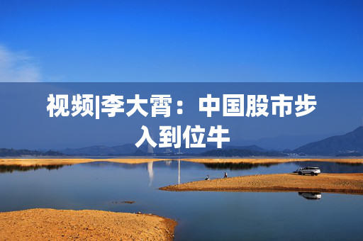 视频|李大霄：中国股市步入到位牛