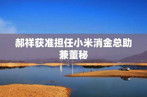 郝祥获准担任小米消金总助兼董秘