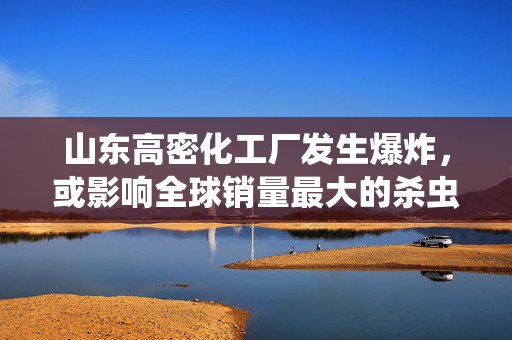 山东高密化工厂发生爆炸，或影响全球销量最大的杀虫剂供应