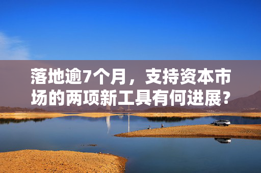 落地逾7个月，支持资本市场的两项新工具有何进展？