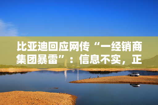比亚迪回应网传“一经销商集团暴雷”：信息不实，正纾困支持