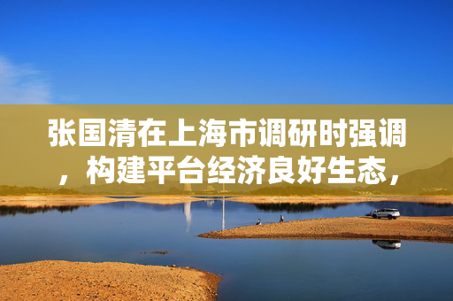 张国清在上海市调研时强调，构建平台经济良好生态，维护公平有序市场环境